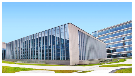 ��˾����